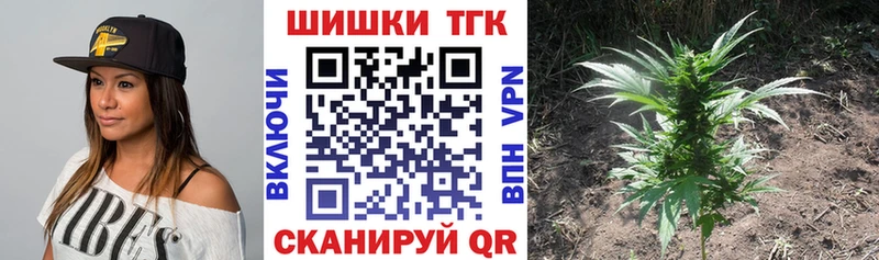 Псилоцибиновые грибы Кузнецк