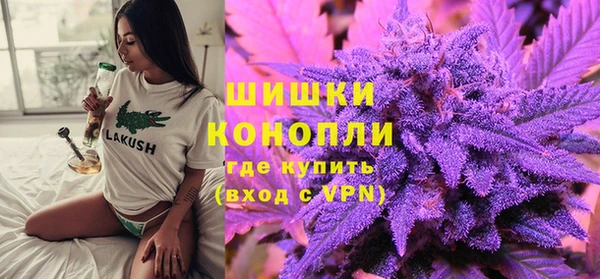 PSILOCYBIN Богородицк