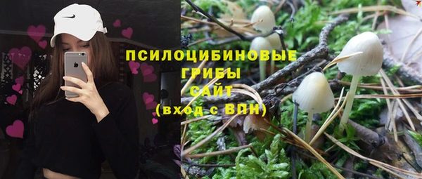 экстази Богородск