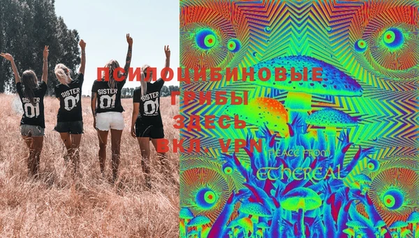 PSILOCYBIN Богородицк