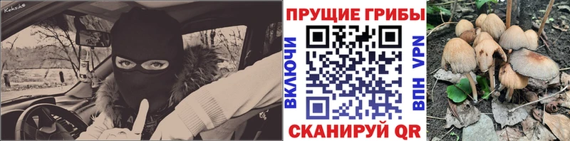 Купить где  Кузнецк  Псилоцибиновые грибы мухоморы 
