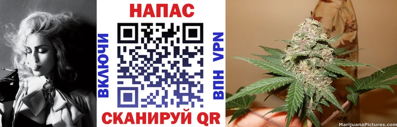 Купить где  Кузнецк  Бошки Шишки семена 